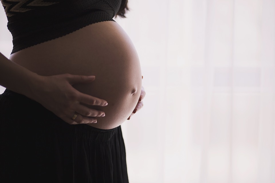 Pregnant Pregnant Woman Mother Body Pregnancy